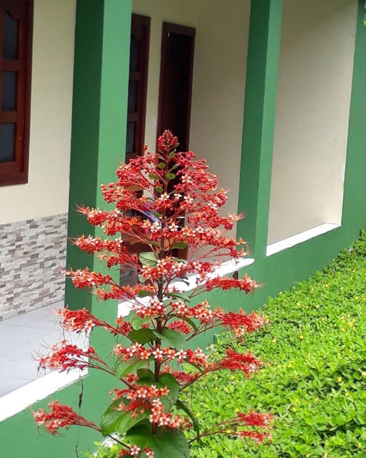 Wikungo Hotel Puerto Nariño 외부 사진
