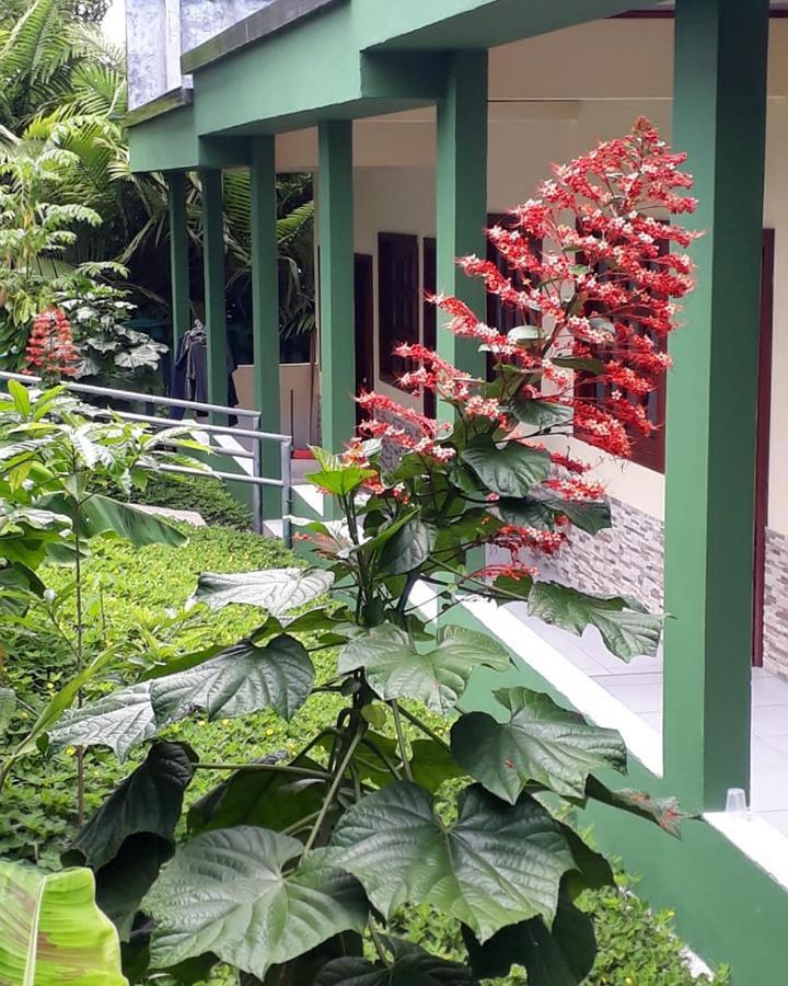 Wikungo Hotel Puerto Nariño 외부 사진